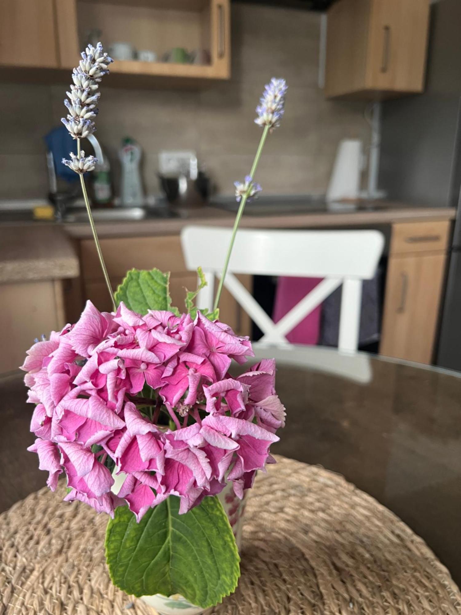 Auszeit Im Pott - Ferienwohnung Lavendel Herten  Εξωτερικό φωτογραφία